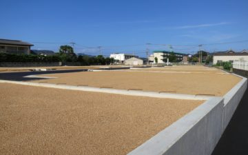条件付き売地