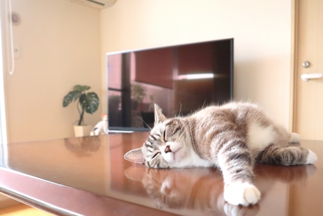 ペット飼育不可