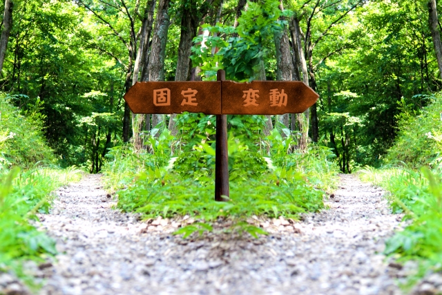 固定と変動
